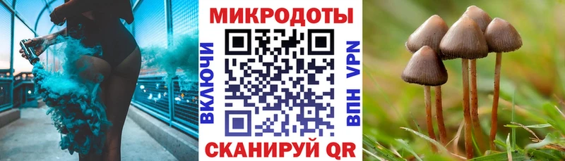 Псилоцибиновые грибы ЛСД  Каргополь 
